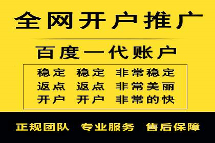 热门SEM运营公司案例深度剖析